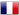 idioma francés