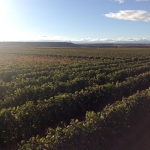 Los Llanos