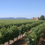 Los Llanos_2
