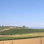 La Carolina
