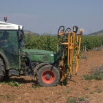 Campo_3